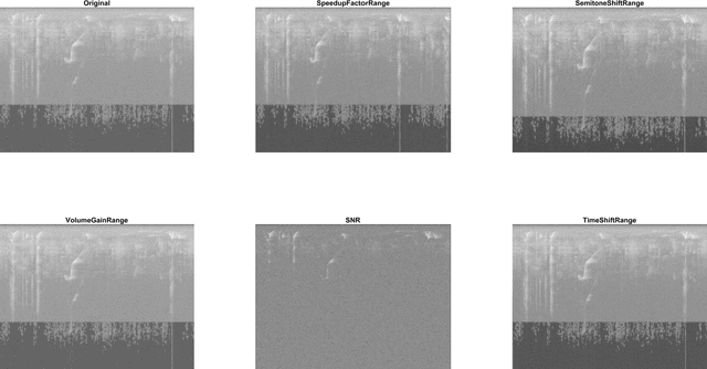 Figure 3 for Data augmentation approaches for improving animal audio classification