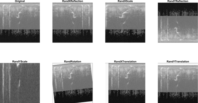 Figure 1 for Data augmentation approaches for improving animal audio classification