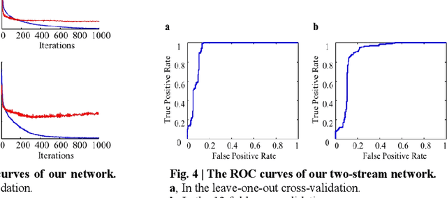 Figure 4 for A Two-stream End-to-End Deep Learning Network for Recognizing Atypical Visual Attention in Autism Spectrum Disorder