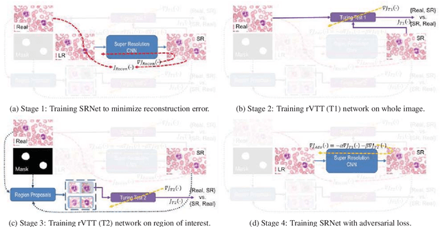 Figure 3 for Learning a Deep Convolution Network with Turing Test Adversaries for Microscopy Image Super Resolution