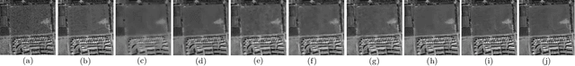 Figure 4 for SAR Despeckling using a Denoising Diffusion Probabilistic Model