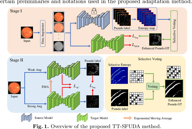 Figure 1 for Target and Task specific Source-Free Domain Adaptive Image Segmentation