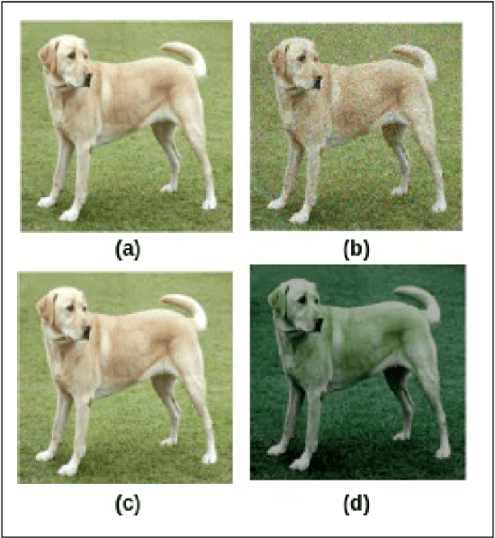 Figure 3 for Brief Introduction to Contrastive Learning Pretext Tasks for Visual Representation