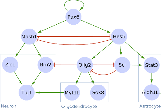 Figure 3 for Synthesis of Boolean Networks from Biological Dynamical Constraints using Answer-Set Programming