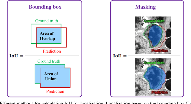 Figure 3 for Automatic detection and counting of retina cell nuclei using deep learning