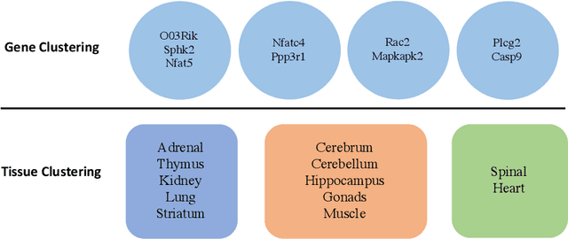 Figure 3 for Optimal Variable Clustering for High-Dimensional Matrix Valued Data