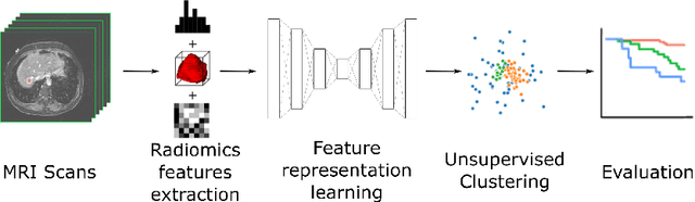 Figure 1 for Unsupervised Clustering of Quantitative Imaging Phenotypes using Autoencoder and Gaussian Mixture Model