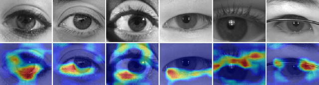 Figure 2 for Sex-Prediction from Periocular Images across Multiple Sensors and Spectra
