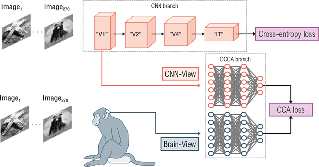 Figure 1 for Improving the Accuracy and Robustness of CNNs Using a Deep CCA Neural Data Regularizer