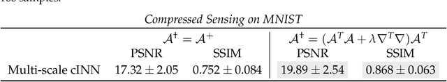 Figure 2 for Conditional Invertible Neural Networks for Medical Imaging