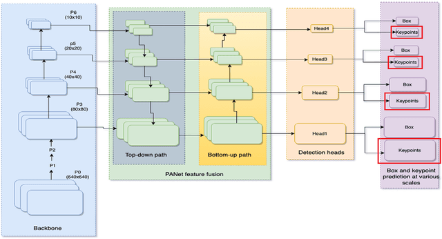 Figure 3 for YOLO-Pose: Enhancing YOLO for Multi Person Pose Estimation Using Object Keypoint Similarity Loss