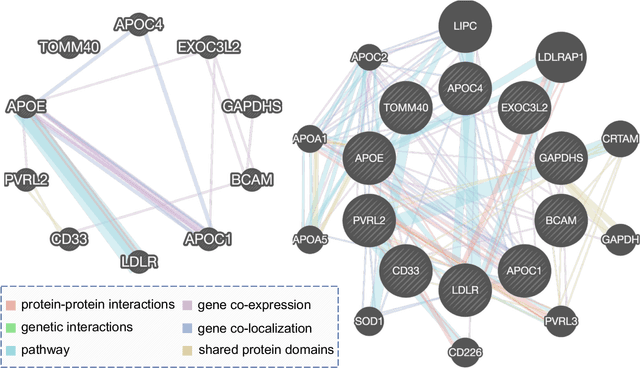 Figure 3 for Identifying Genetic Risk Factors via Sparse Group Lasso with Group Graph Structure