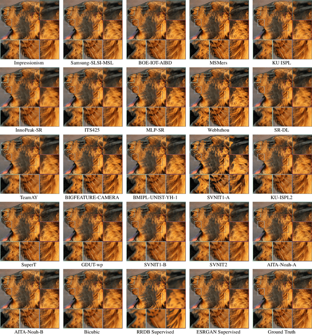 Figure 4 for NTIRE 2020 Challenge on Real-World Image Super-Resolution: Methods and Results