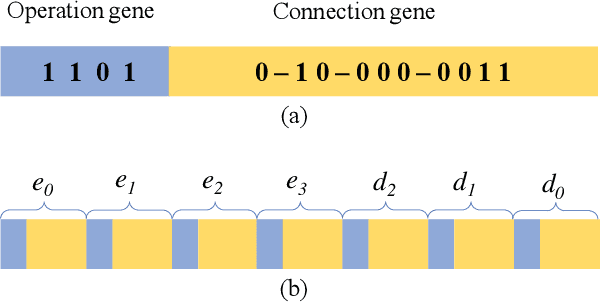 Figure 4 for Genetic U-Net: Automatically Designing Lightweight U-shaped CNN Architectures Using the Genetic Algorithm for Retinal Vessel Segmentation