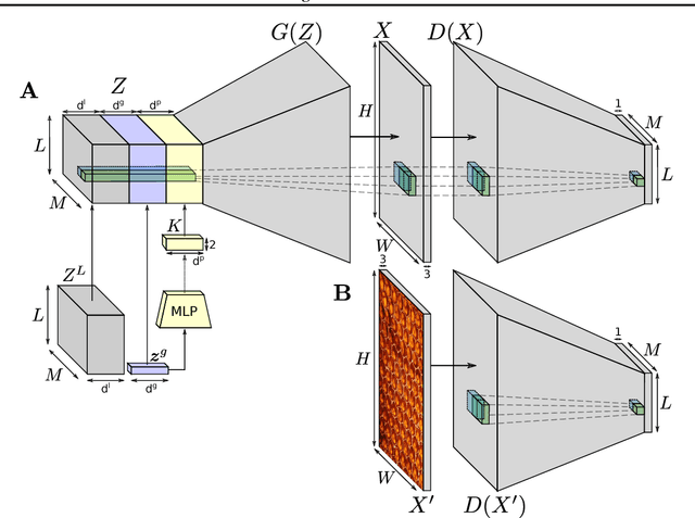 Figure 3 for Learning Texture Manifolds with the Periodic Spatial GAN