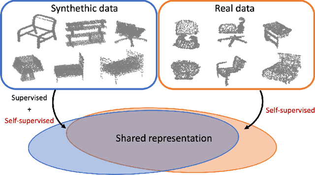 Figure 1 for Self-Supervised Learning for Domain Adaptation on Point-Clouds