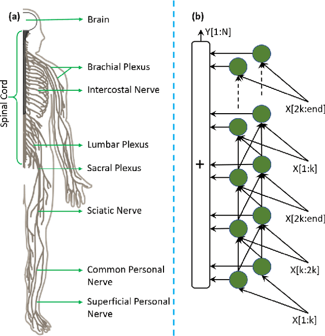 Figure 1 for SpinalNet: Deep Neural Network with Gradual Input