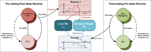 Figure 3 for Spiking Associative Memory for Spatio-Temporal Patterns