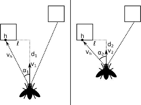 Figure 1 for FLIVVER: Fly Lobula Inspired Visual Velocity Estimation & Ranging