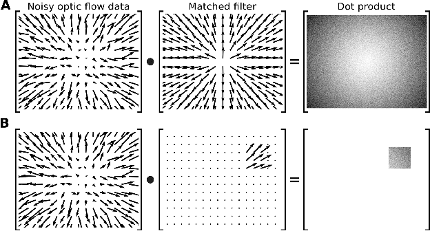 Figure 2 for FLIVVER: Fly Lobula Inspired Visual Velocity Estimation & Ranging