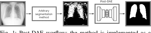 Figure 1 for Post-DAE: Anatomically Plausible Segmentation via Post-Processing with Denoising Autoencoders