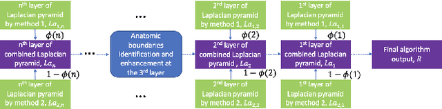 Figure 3 for Good and Bad Boundaries in Ultrasound Compounding: Preserving Anatomic Boundaries While Suppressing Artifacts