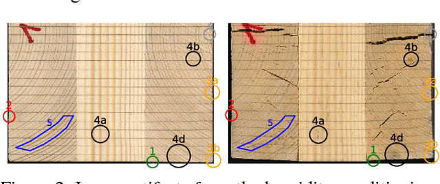 Figure 2 for Robust Deformation Estimation in Wood-Composite Materials using Variational Optical Flow