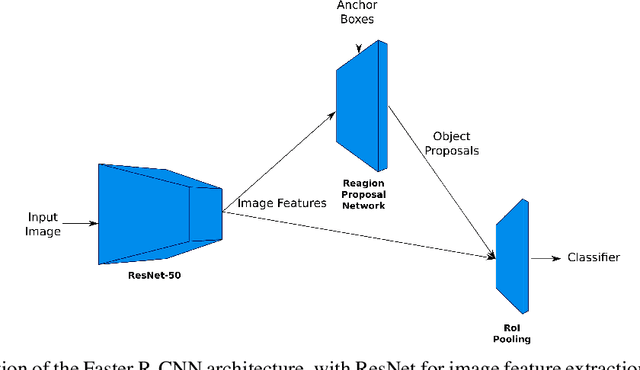 Figure 1 for Detection and Annotation of Plant Organs from Digitized Herbarium Scans using Deep Learning