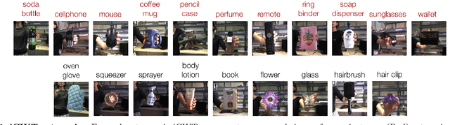 Figure 1 for Are we Done with Object Recognition? The iCub robot's Perspective