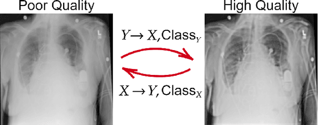 Figure 1 for R2C-GAN: Restore-to-Classify GANs for Blind X-Ray Restoration and COVID-19 Classification