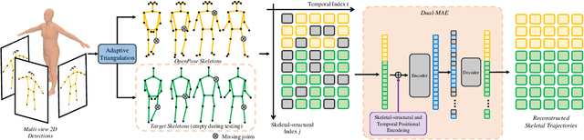 Figure 2 for A Dual-Masked Auto-Encoder for Robust Motion Capture with Spatial-Temporal Skeletal Token Completion