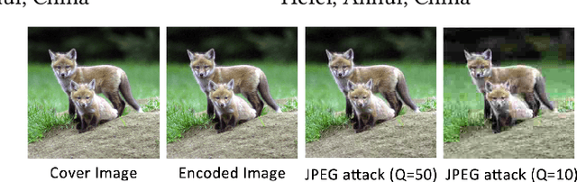 Figure 1 for MBRS : Enhancing Robustness of DNN-based Watermarking by Mini-Batch of Real and Simulated JPEG Compression