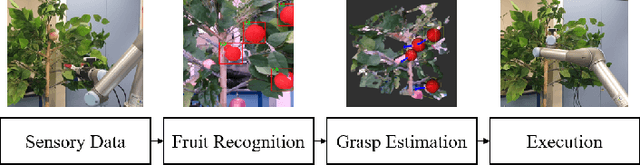 Figure 1 for Real-time Fruit Recognition and Grasp Estimation for Autonomous Apple harvesting