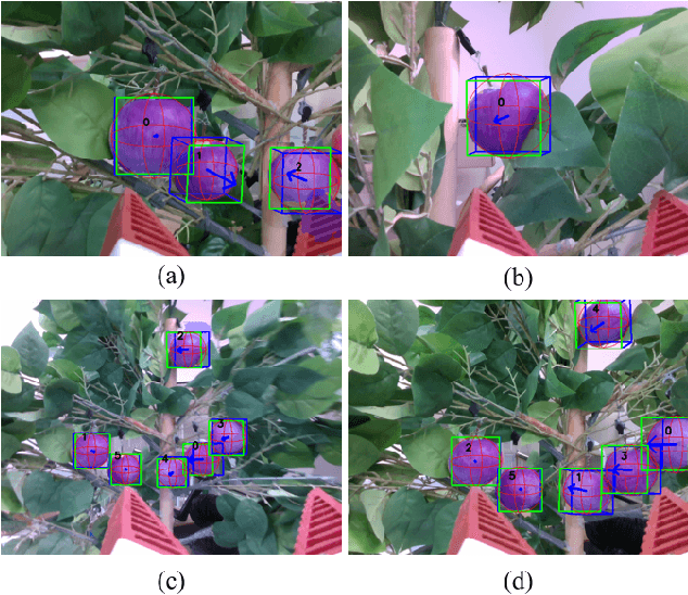 Figure 4 for Real-Time Fruit Recognition and Grasping Estimation for Autonomous Apple Harvesting