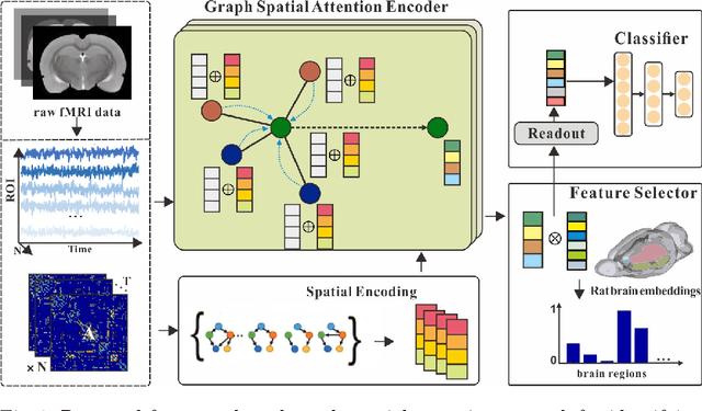 Figure 1 for Feature-selected Graph Spatial Attention Network for Addictive Brain-Networks Identification