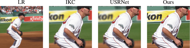 Figure 1 for Deep Model-Based Super-Resolution with Non-uniform Blur