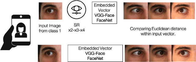 Figure 1 for Selfie Periocular Verification using an Efficient Super-Resolution Approach