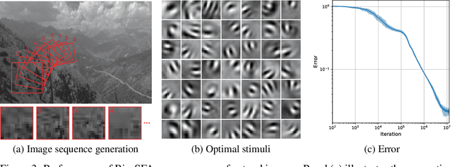 Figure 3 for A biologically plausible neural network for Slow Feature Analysis