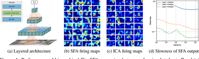 Figure 4 for A biologically plausible neural network for Slow Feature Analysis