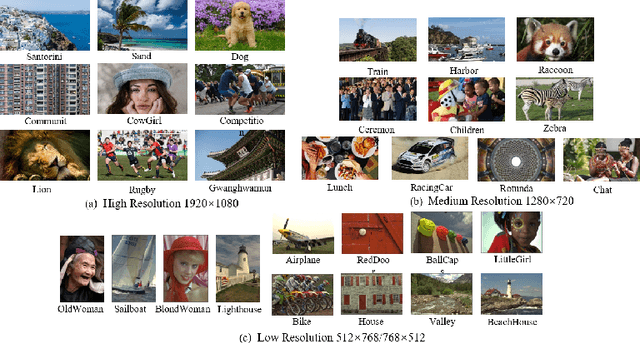Figure 1 for Subjective evaluation of traditional and learning-based image coding methods