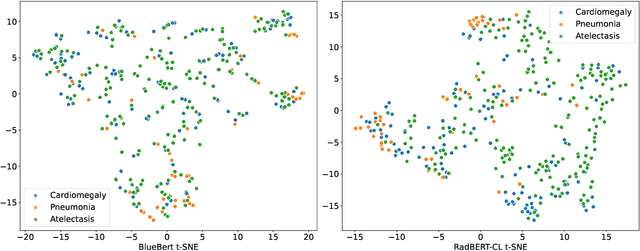 Figure 2 for RadBERT-CL: Factually-Aware Contrastive Learning For Radiology Report Classification