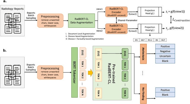 Figure 1 for RadBERT-CL: Factually-Aware Contrastive Learning For Radiology Report Classification