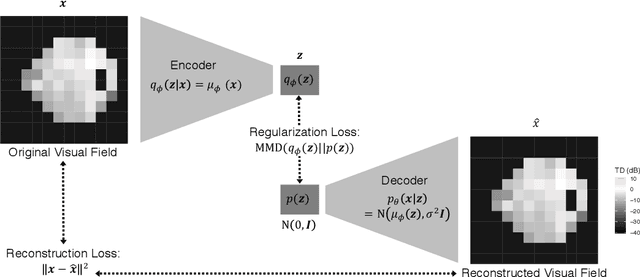 Figure 2 for Scalable Modeling of Spatiotemporal Data using the Variational Autoencoder: an Application in Glaucoma