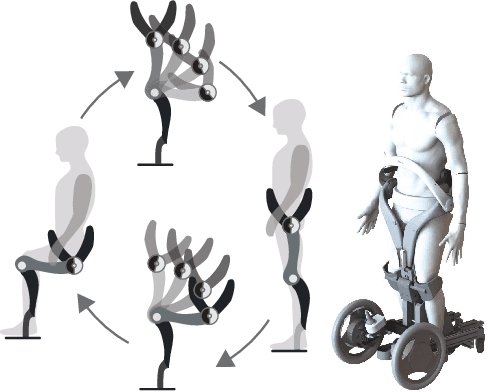 Figure 1 for Personal Mobility With Synchronous Trunk-Knee Passive Exoskeleton: Optimizing Human-Robot Energy Transfer