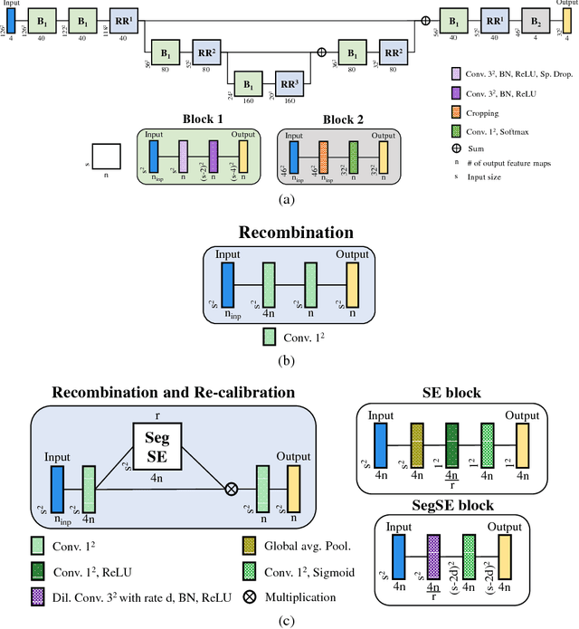 Figure 3 for Adaptive feature recombination and recalibration for semantic segmentation: application to brain tumor segmentation in MRI