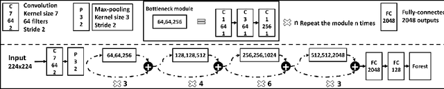 Figure 4 for Facial age estimation by deep residual decision making