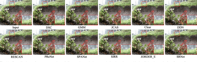 Figure 3 for Structural Residual Learning for Single Image Rain Removal
