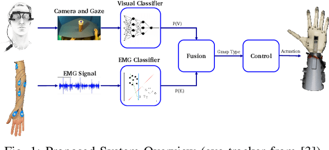Figure 1 for Multimodal Fusion of EMG and Vision for Human Grasp Intent Inference in Prosthetic Hand Control