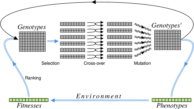 Figure 2 for A Genetic Quantum Annealing Algorithm