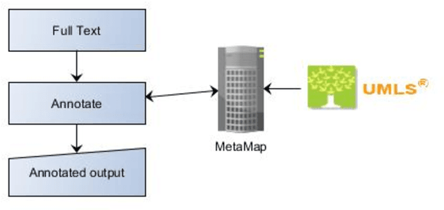 Figure 4 for Marvin: Semantic annotation using multiple knowledge sources